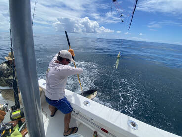 Herradura Report Photo 2