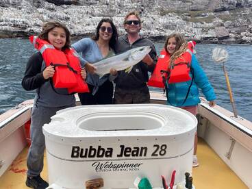 Yellowtail at Coronado Islands!