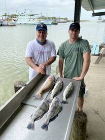 Galveston Report Photo 1