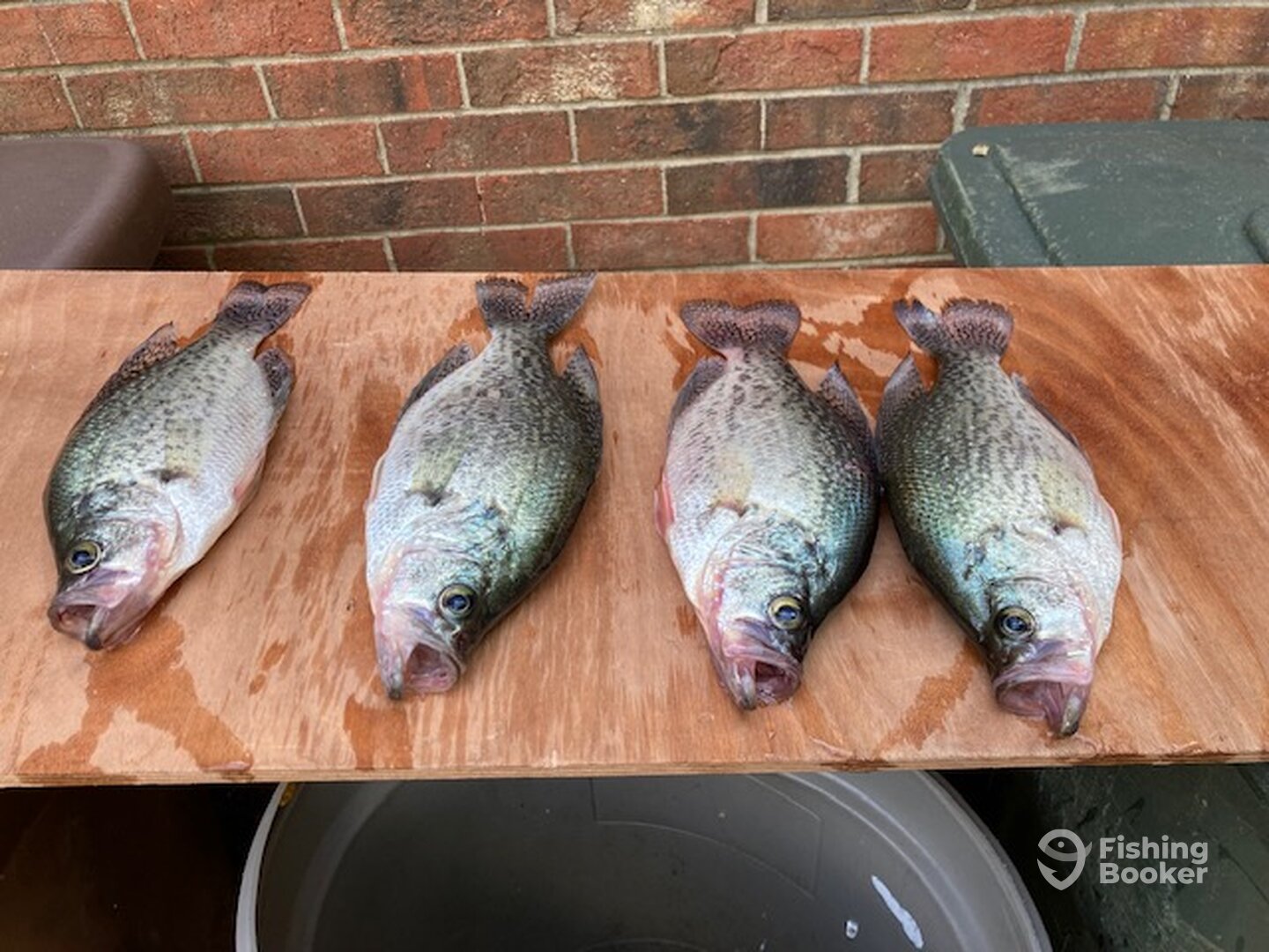 Randleman Report Photo 0