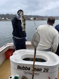 San Diego Report Photo 2