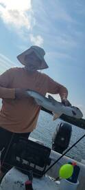 Mr Paul and his shark ?