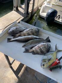 Fishing has been tough, but patience pay