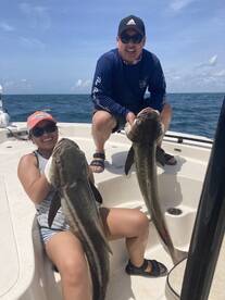Cobia Fishing Wilmington