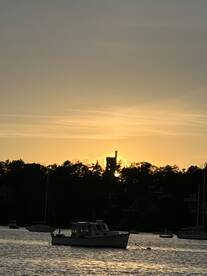 Afternoon bite delight!