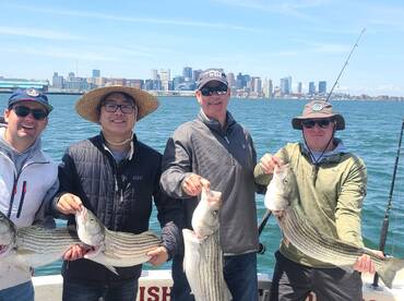 The striped bass have arrived! 