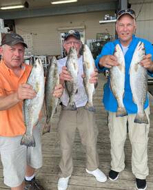 Venice Report Photo 1