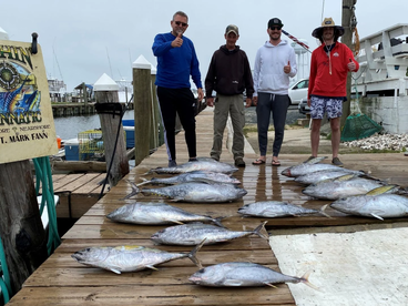 Tuna, Tuna and More Tuna