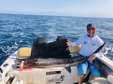 Puerto Vallarta Report Photo 2