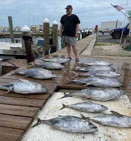 Another Great Day of Tuna Fishing