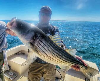 Montauk Report Photo 2
