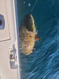 Clearwater Report Photo 2