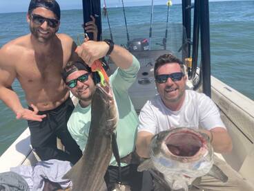 Epic day sight fishing cobia
