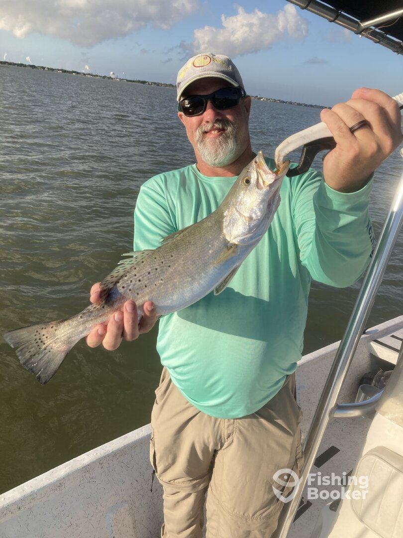 Texas City Report Photo 0