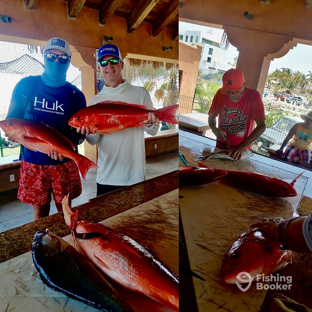 San Jose del Cabo Report Photo 0