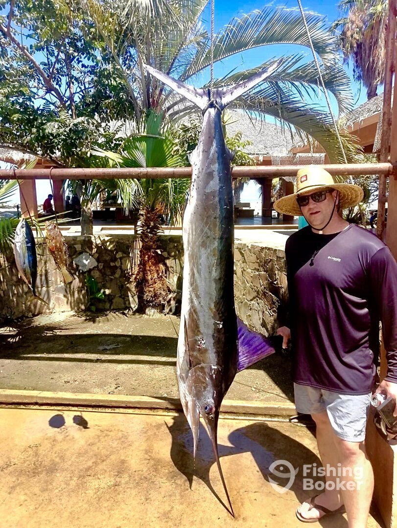 San Jose del Cabo Report Photo 0