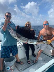 Trophy Sailfish