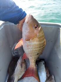Port Canaveral Report Photo 1