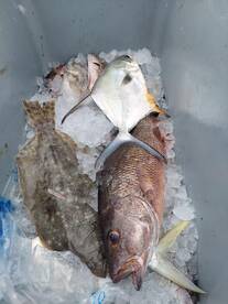 Port Canaveral Report Photo 2