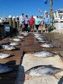 Great Tuna Fishing Continues