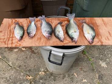 Memorial weekend trips