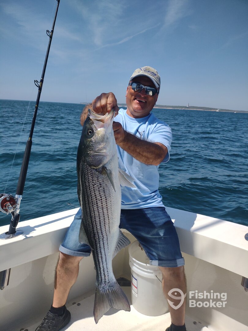 Montauk Report Photo 0