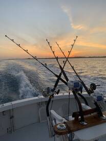 Sandys Report Photo 1