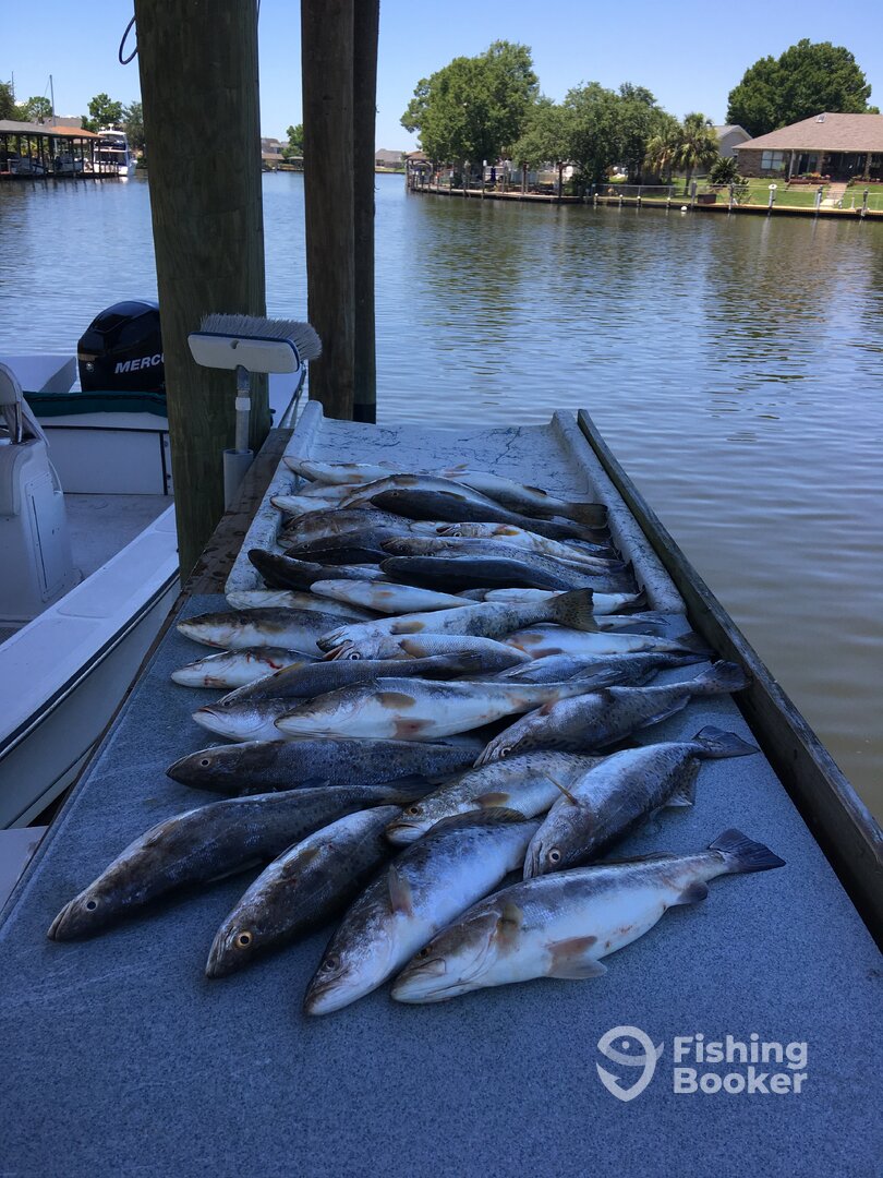 Slidell Report Photo 0