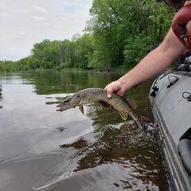Musky opener was full of missed opportun