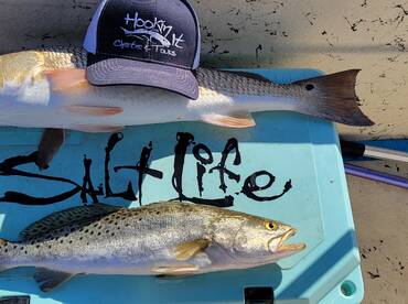 Cedar Key Report Photo 1