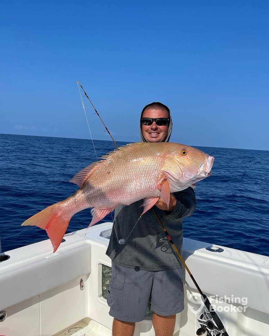 Mutton Snapper