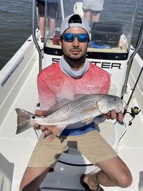 Jekyll Island Report Photo 2