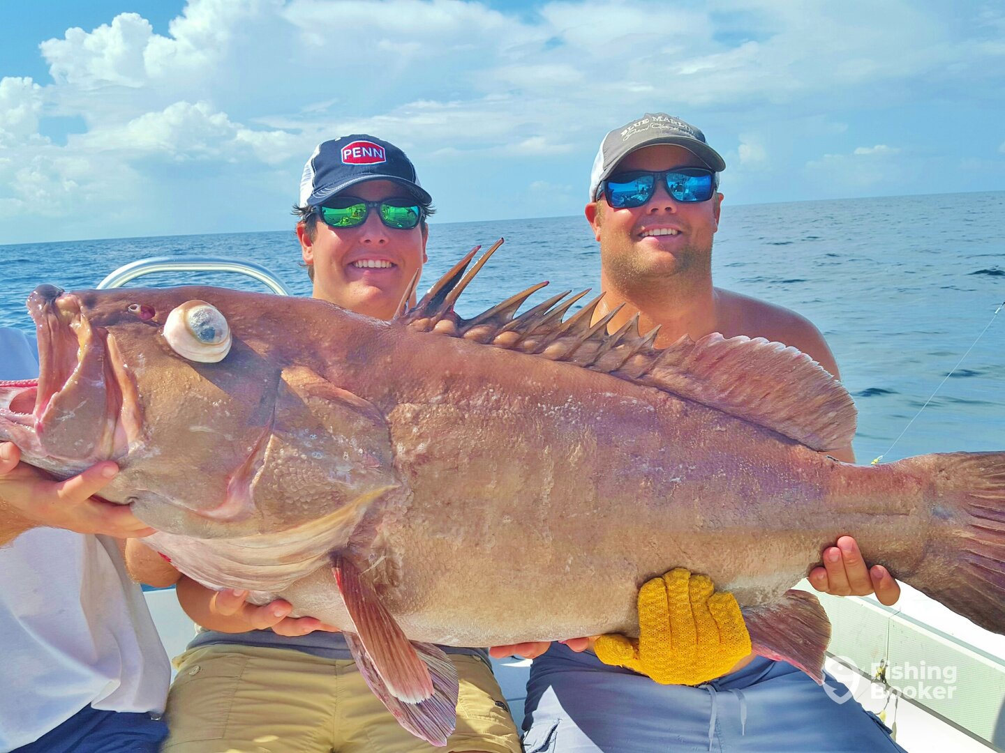 Orange Beach Report Photo 0