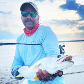 Weskfish run  continues 