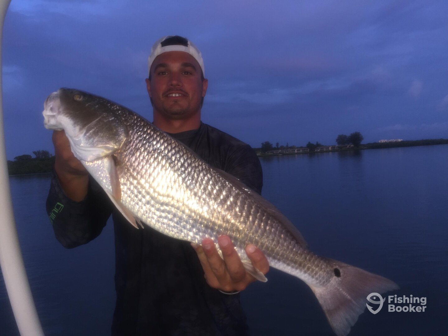 Sarasota Report Photo 0