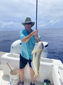 Nice Golden Tilefish