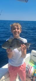Destin Report Photo 2