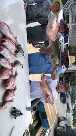 Pensacola Report Photo 1
