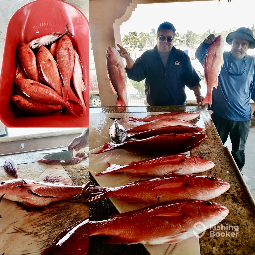 San Jose del Cabo Report Photo 0