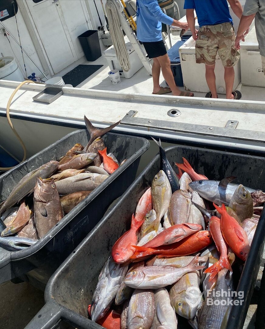 Orange Beach Report Photo 0