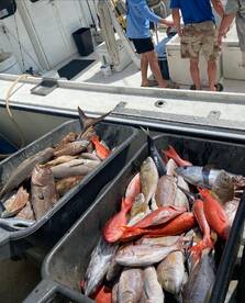 Deep Drop Fishing Trip! 