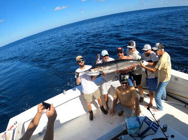 TUNA FISHING FRENZY! 