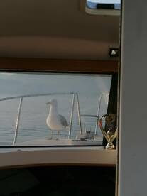 Dubrovnik Report Photo 1