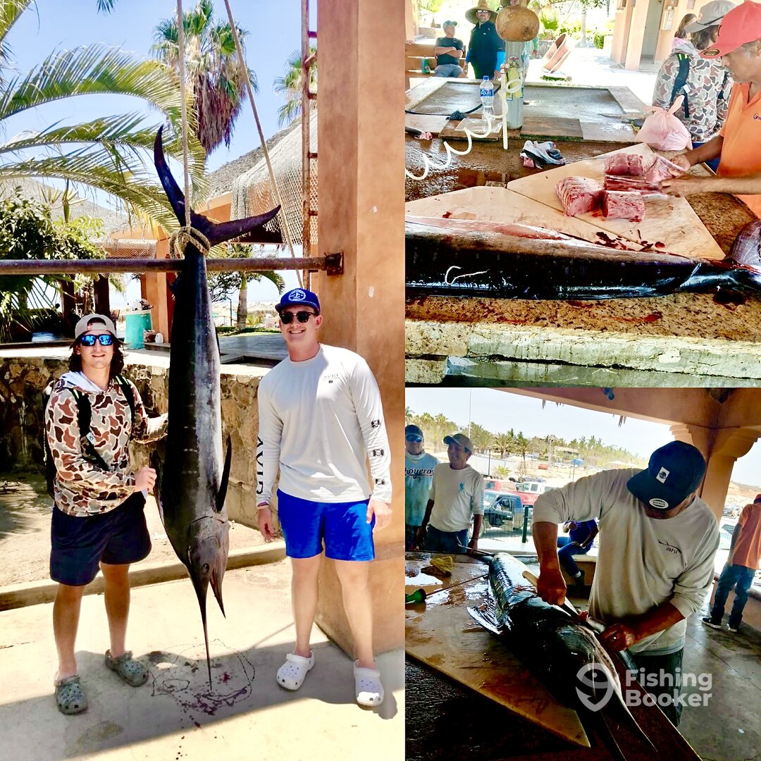 San Jose del Cabo Report Photo 0