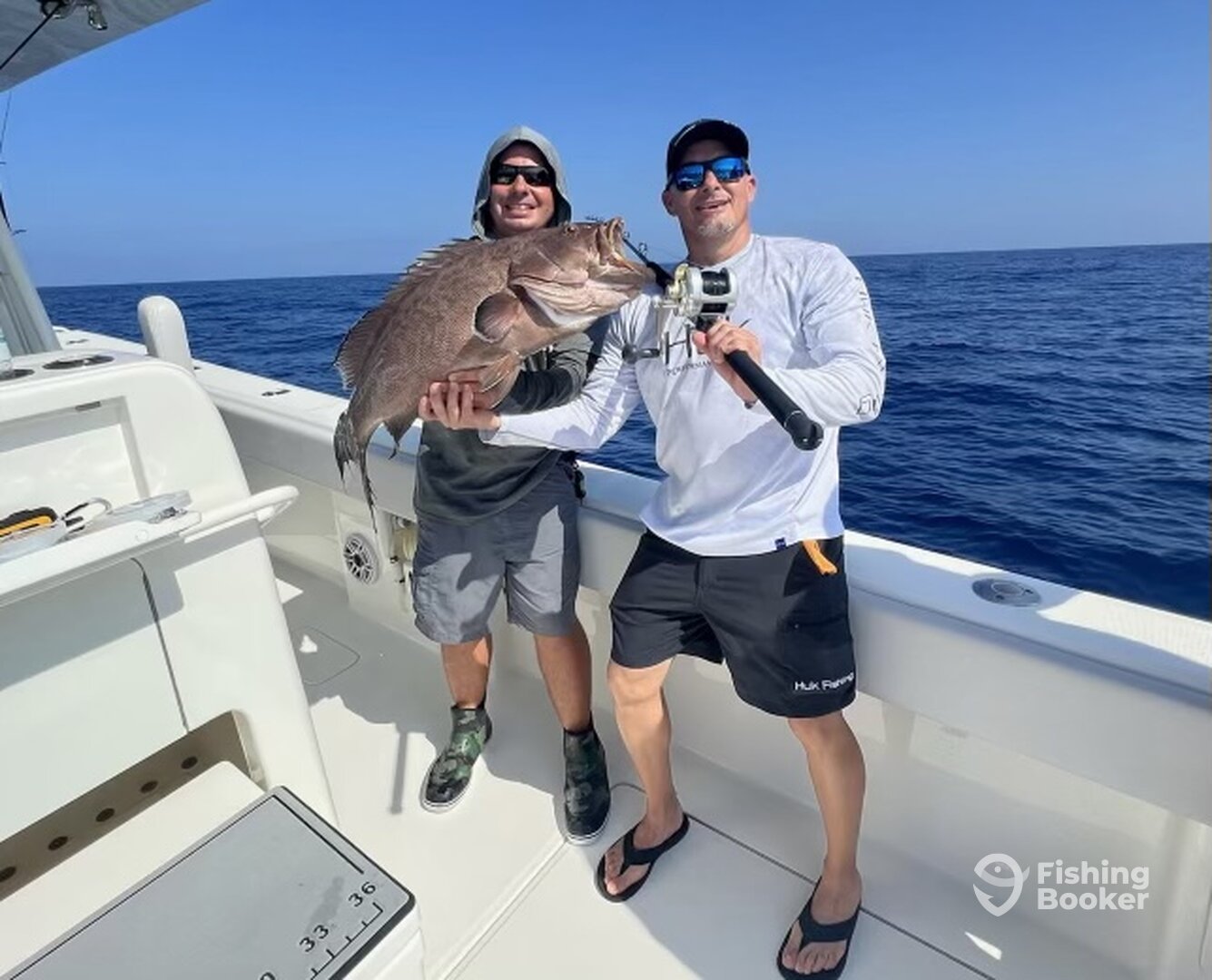 Scamp Grouper