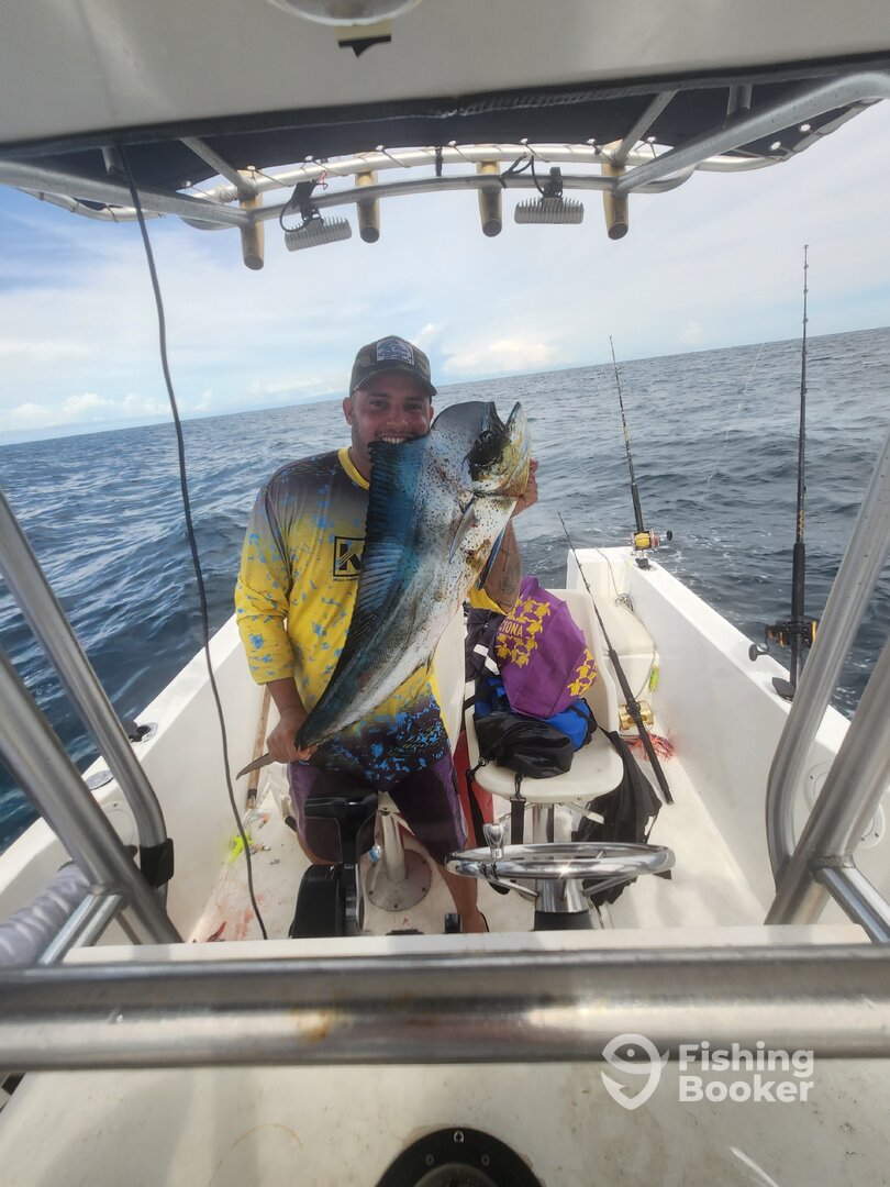 Panama City Report Photo 0