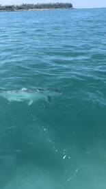 Key West Report Photo 1