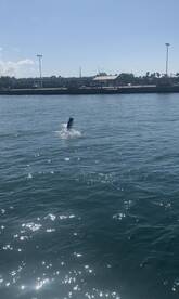 Key West Report Photo 2