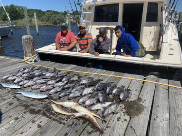 Seabass have been ted hot