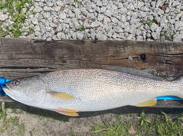 Emerald Isle Report Photo 2